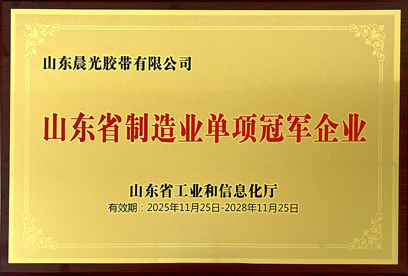 2025-11-25山東省制造業單項冠軍